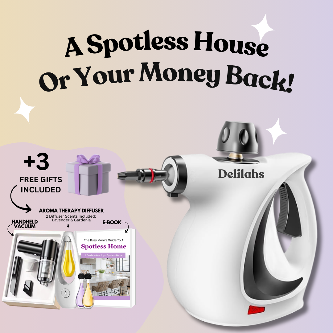 Delilahs Natural Steam Cleaner