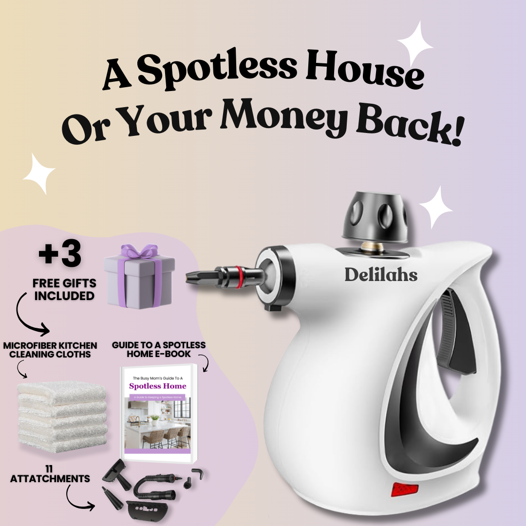 Delilahs Natural Steam Cleaner