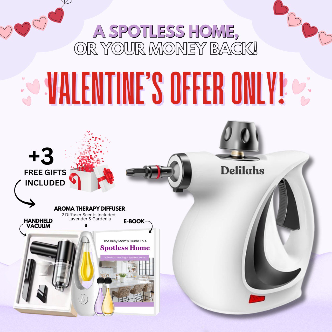 Delilahs Natural Steam Cleaner